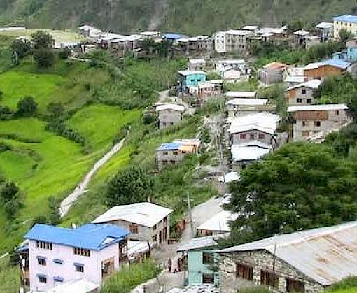 Benefitting species and people: the journey towards sustainable and equitable Jatamansi trade