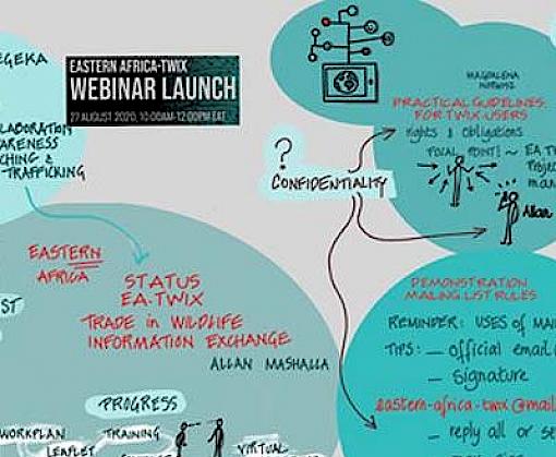 New secure information-sharing platform for East Africa