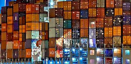 IMO to develop guidelines for the prevention and suppression of wildlife trafficking