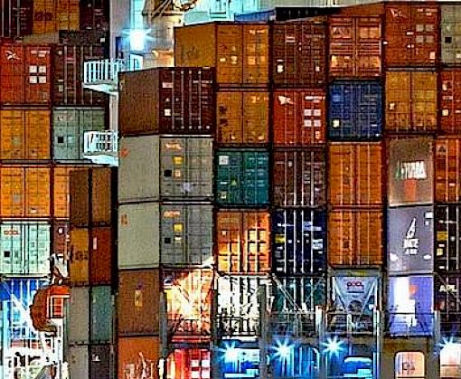 IMO to develop guidelines for the prevention and suppression of wildlife trafficking