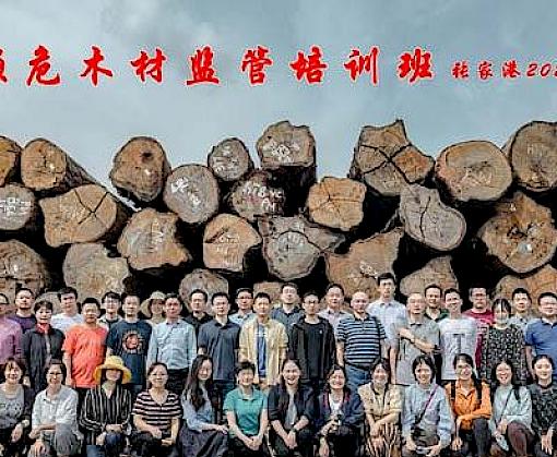 China Customs turn their attention to the complexities of timber trade