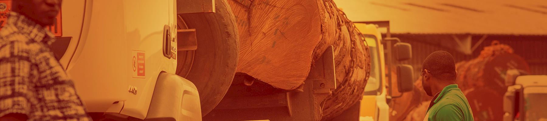 Border officials inspect exports of timber on the road to Douala, Cameroon. Photo: TRAFFIC / A. Walmsley