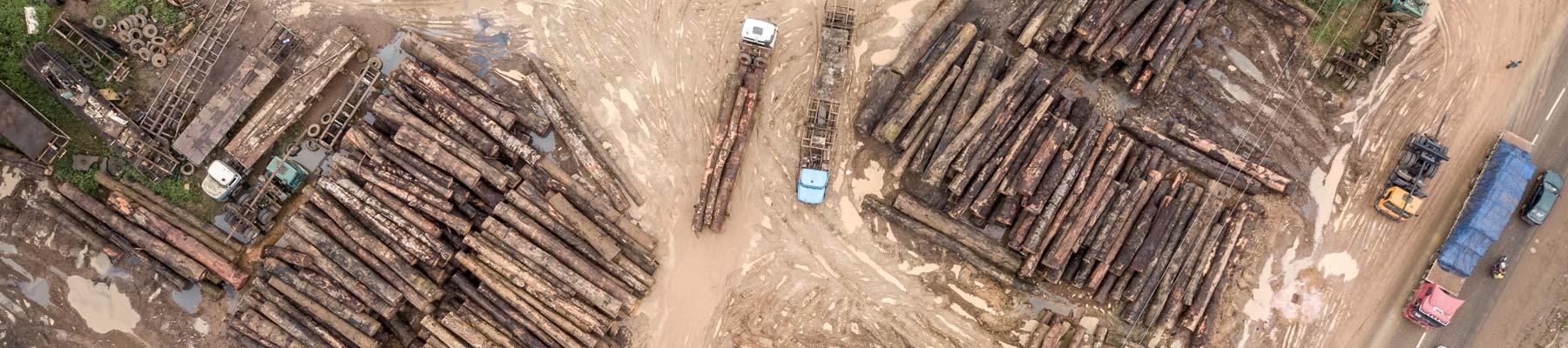 Logging depot, Cameroon © Andrew Walmsley/TRAFFIC 