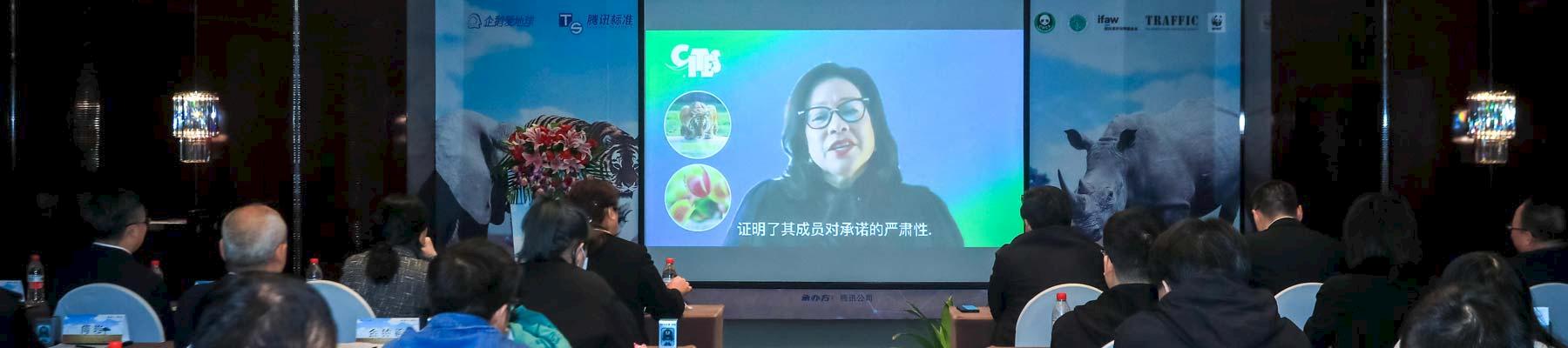 CITES Secretary-General Ivonne Higuero addresses delegates via a video link