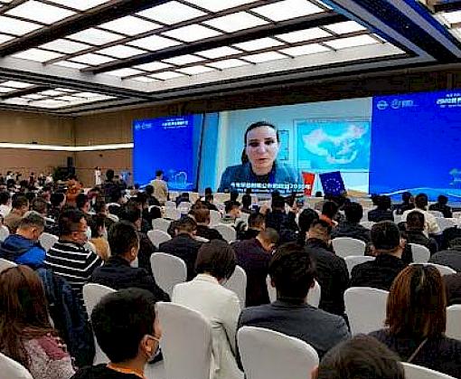 Hardwood industry leaders in China sign initiative to curb illegal wildlife trade