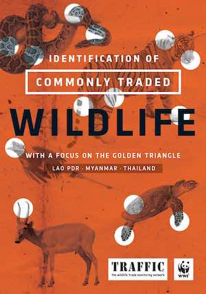 New identification guide to assist enforcement officers combat wildlife  crime in the Golden Triangle - Wildlife Trade News from TRAFFIC