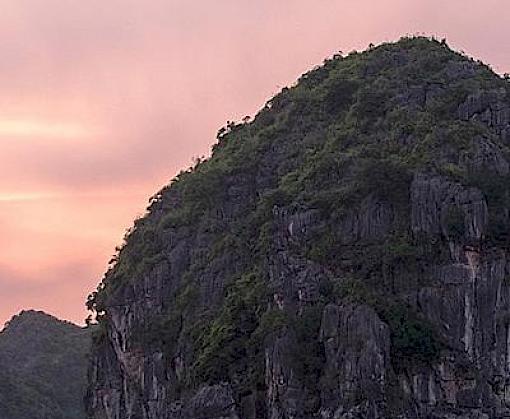 Customs in China and Laos Unite in Pivotal Meeting to Combat the Smuggling of Endangered Wildlife Across their Borders