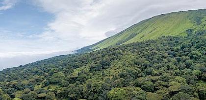 Post-2020 global biodiversity framework must focus on sustainable use, strong indicators and the links with human health