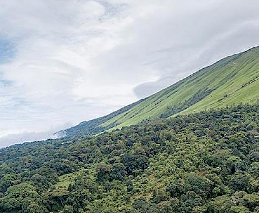 Post-2020 global biodiversity framework must focus on sustainable use, strong indicators and the links with human health