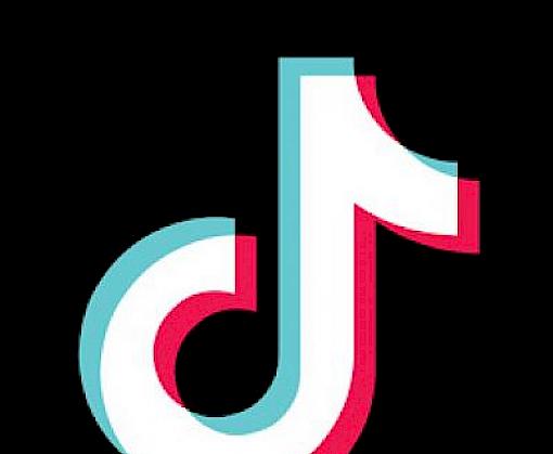 Social media platform TikTok joins the Coalition to End Wildlife Trafficking Online