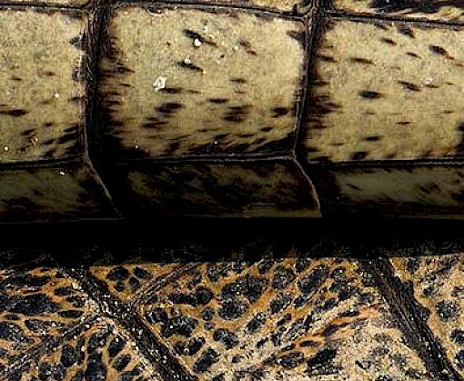 Bushmeat Trade in urban centres in Tanzania: an analysis from Dar es Salaam, Morogoro, Mbeya, Arusha, and Manyara