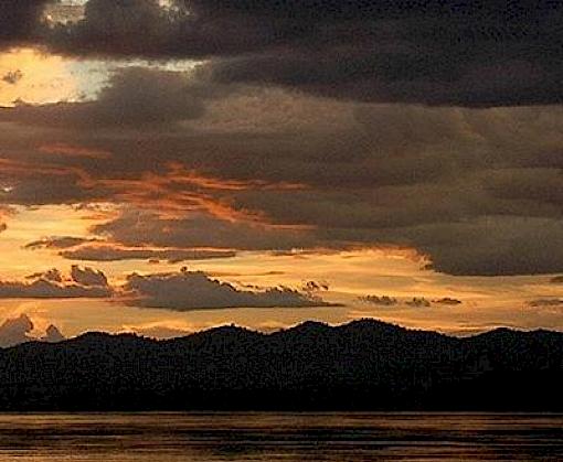 Tăng cường ứng phó với nạn buôn bán động, thực vật hoang dã bất hợp pháp khu vực hạ lưu sông Mê Kông