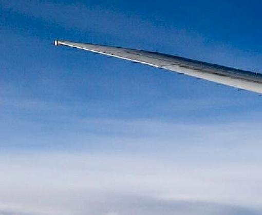 New spotlight video series: meet the aviation companies striving to protect wildlife from trafficking
