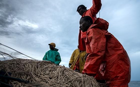 An artisanal fishing crew prepares for a day's work. Photo: Longshot Productions / TRAFFIC