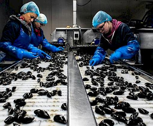 Existing Food Safety systems could be adapted to reduce wildlife trade health risks
