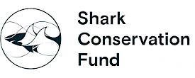 Shark Conservation Fund