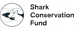 Shark Conservation Fund