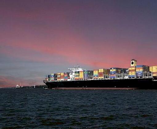 Red Flag Indicators: for wildlife and timber trafficking in containerized sea cargo