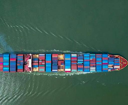 Maritime supply chain actors brought together to step up collaborative efforts to tackle timber and wildlife trafficking in container shipping
