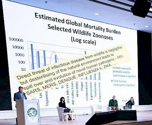 Experts in Sustainable Wildlife Management discuss Opportunities in the Post-2020 Global Biodiversity Framework