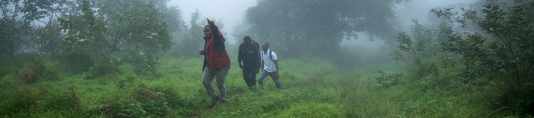 TRAFFIC staff in the National Park at the base of Mount Cameroon, Cameroon