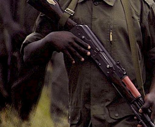 Poaching and Wildlife trafficking in the Garamba-Bili-Chinko landscape