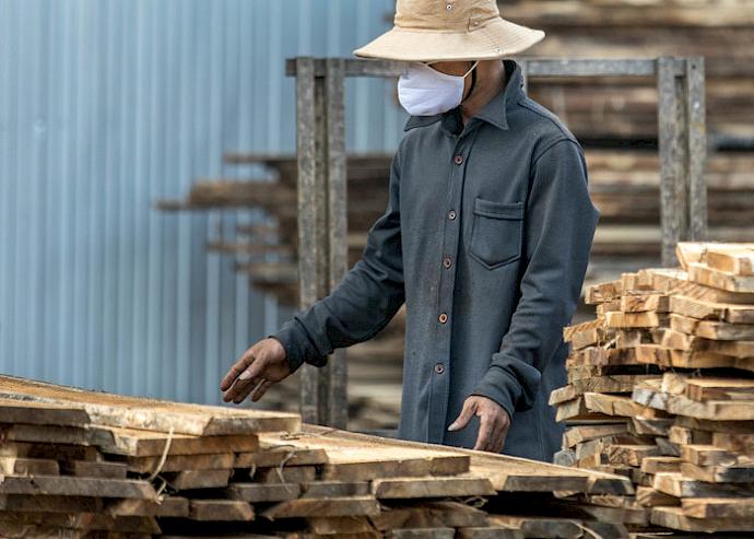 Timber processing in Viet Nam. Photo: James Morgan / WWF