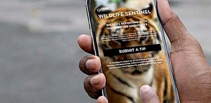 New mobile reporting app is helping combat corruption and wildlife trafficking in the aviation industry