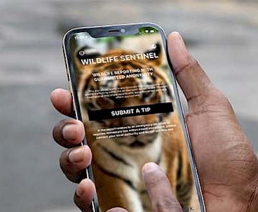 New mobile reporting app is helping combat corruption and wildlife trafficking in the aviation industry