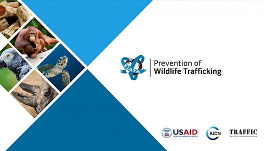 FIATA-TRAFFIC digital course on the prevention of wildlife trafficking