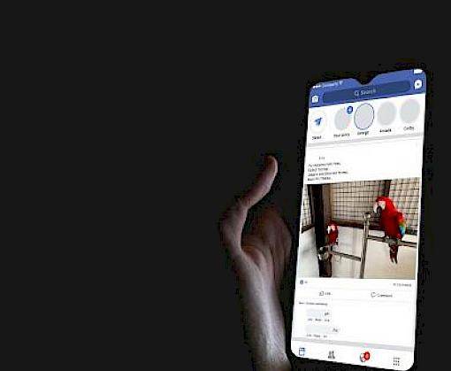 Trading Faces: Live Bird Trade on Facebook in Singapore
