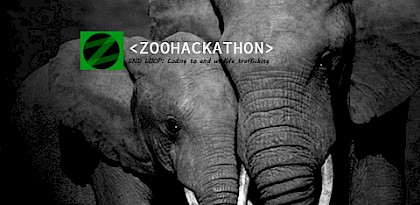 Coding to end wildlife trafficking: India holds Zoohackathon