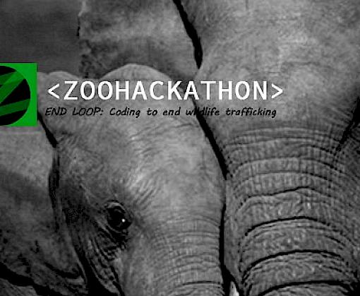 Coding to end wildlife trafficking: India holds Zoohackathon