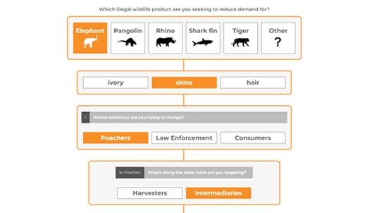 Behaviour change decision tree