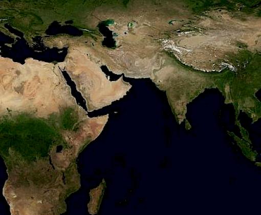 FOCAC 2021: How China and Africa collaborate to combat illegal wildlife trade
