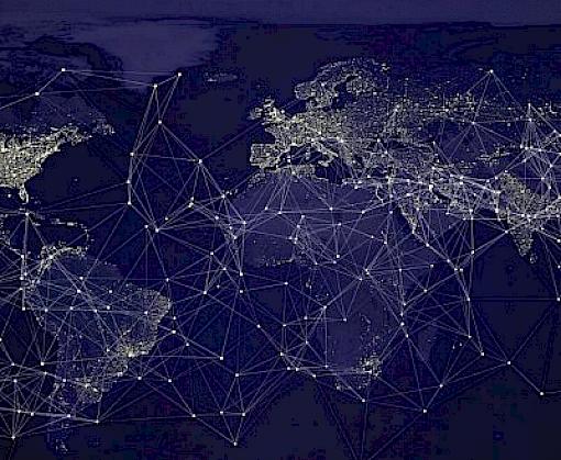 ‘Follow The Money’ To Uncover Online Criminal Wildlife Trade Networks says TRAFFIC China