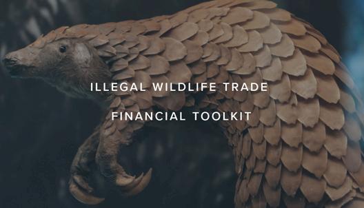 Financial Flows IWT Toolkit