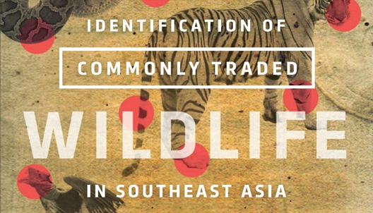 Species Identification Guide for Southeast Asia