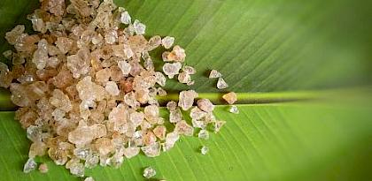 Gum Arabic: sapping natural resources or a chance for sustainable development?