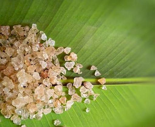 Gum Arabic: sapping natural resources or a chance for sustainable development?