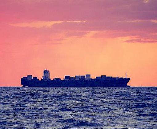 New International Maritime Organization guidelines to combat wildlife smuggling