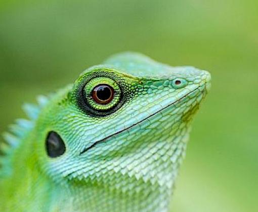International Day of Biological Diversity: Call for urgent action on measuring progress of critical biodiversity targets