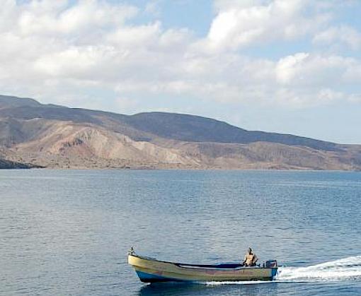 Djibouti to join TWIX network to tackle wildlife trafficking in Horn of Africa