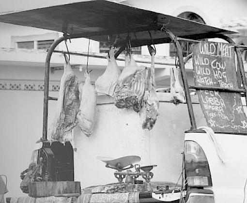 Options for Managing and Tracing Wild Animal Trade Chains to Reduce Zoonotic Risk