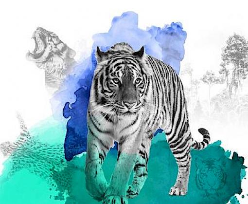 ACAMS and TRAFFIC Advance Ending Illegal Wildlife Trade Training Efforts in China