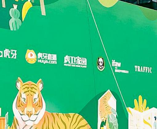 To mark Global Tiger Day, TRAFFIC helps Huya integrate wildlife conservation into their live streaming platform