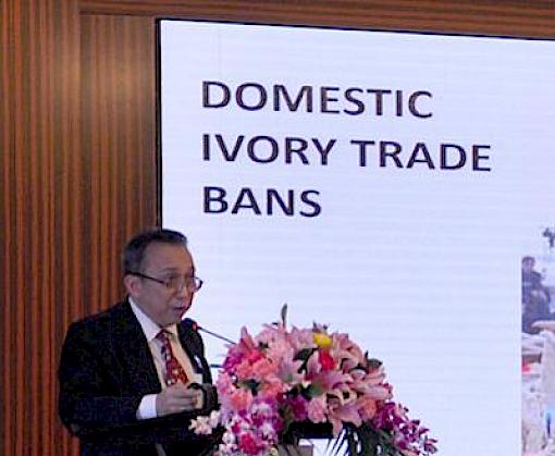 China’s ivory trade ban: workshop held on the achievement and challenges