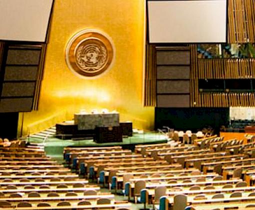 UN reaffirms commitment to address illicit wildlife trafficking through powerful new resolution