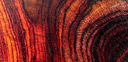 Policies on Rosewood in China