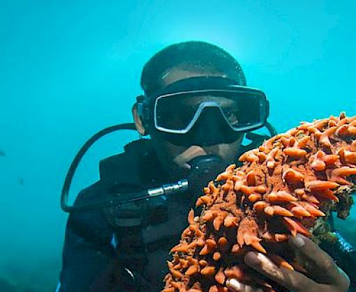 TRAFFIC publishes advice and recommendations ahead of CITES CoP19